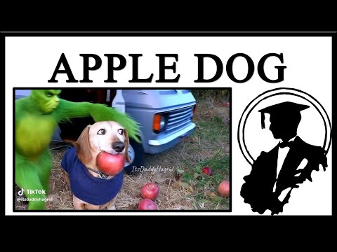 Apple Dog AI Clips Are Insane