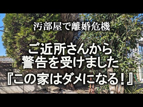 【片付け】ご近所さんから警告を受けた金木犀の丸ハゲ剪定をしました。お料理チャレンジは、おはぎ作り｜庭掃除｜汚部屋｜ズボラ主婦｜庭木剪定