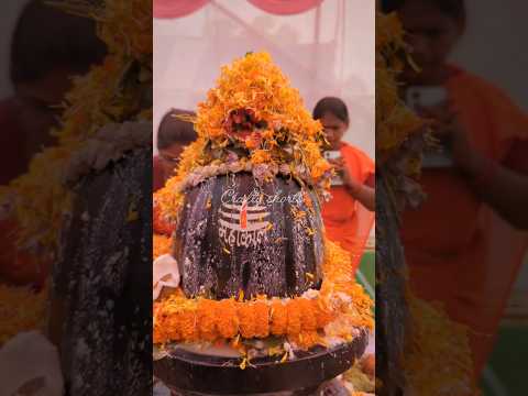 Maha Shivaratri @youtube #shorts