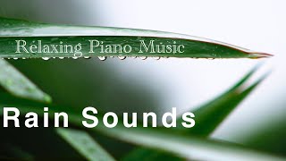 Rain Sounds for Sleeping with Music - Stress Relief, Healing, Calm, Deep Sleep, Relax - Water Sounds