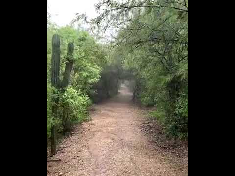 La Colorada.  Alamos, Sonora