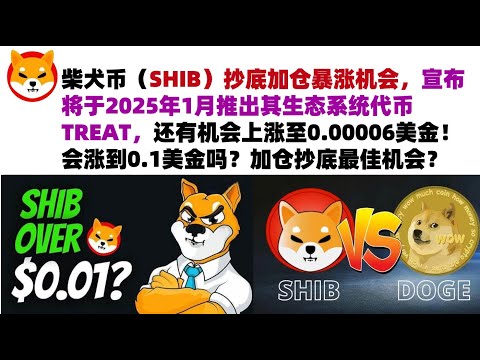 柴犬币（SHIB）抄底加仓暴涨机会，宣布将于2025年1月推出其生态系统代币TREAT，还有机会上涨至0.00006美金！会涨到0.1美金吗？加仓抄底最佳机会？#shib币#柴犬币#屎币行情分析