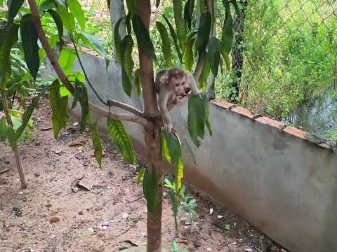 Cute little baby boy playing outside