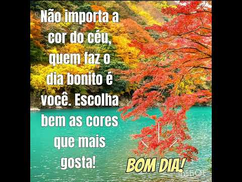 Mensagem Bom dia!