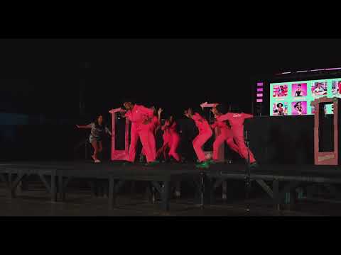 ALPHA KAPPA ALPHA SORORITY, INC. (HAMPTON UNIVERSITY) HOMECOMING STEP SHOW '23!