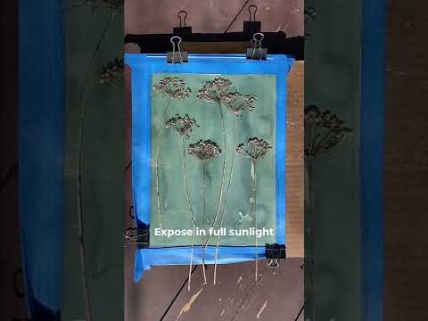 How To Make a Cyanotype