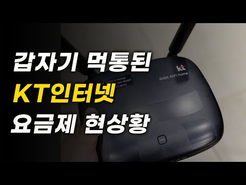 갑자기 먹통된 KT 인터넷의 요금제 현상황