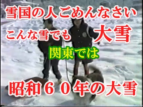 雪国の人ごめんなさい　昭和６０年の関東では大雪で大混乱でした。