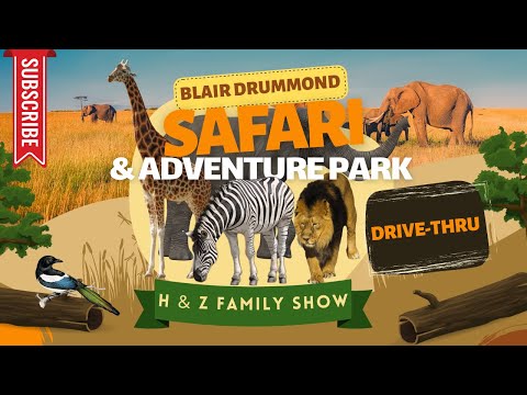 Blairdrummond Safari Park Drive-Thru: African Animals, Lions, Monkeys, and Asian Wildlife