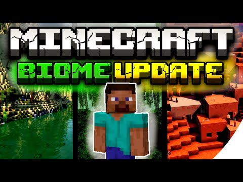 What If Minecraft Had A BIOME Update?