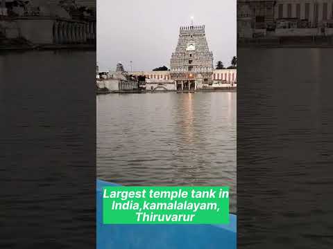 #largest temple tank in india #beautyofindia #southindiantemple#beautyoftiruvarur