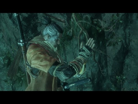 Sekiro - The Divine Dragon. No Damage