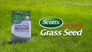 How to Use Scotts® Turf Builder® Grass Seed