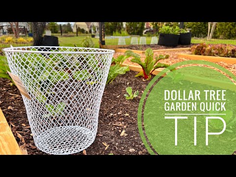 Dollar Tree Quick Trick for Gardening DIY