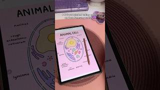 Digital note taking ❤️‍🔥 Samsung galaxy tab S9+ | Penly android app | study digital notes