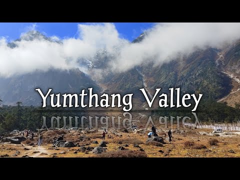 Yumthang Valley / Yumthang Valley Short Video