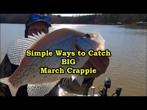 Simple Tactics for BIG March Crappie