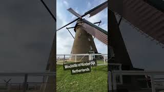 What the heck is this? Kinderdijk #netherlands #windmill #oldwindmill #cruiseexcursion