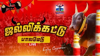 🔴LIVE: பாலமேடு ஜல்லிக்கட்டு.. சீறிப்பாயும் காளைகள் | Palamedu Jallikattu Live 2025