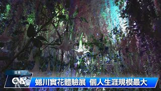 蜷川實花體驗展 個人生涯規模最大｜中央社影音新聞