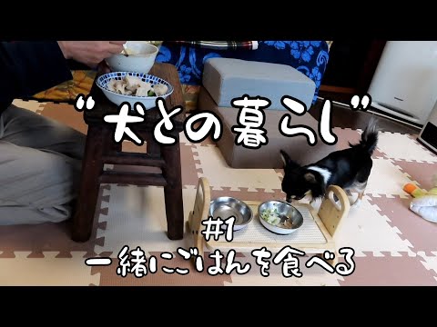 【犬との暮らし①】一緒にごはんを食べる