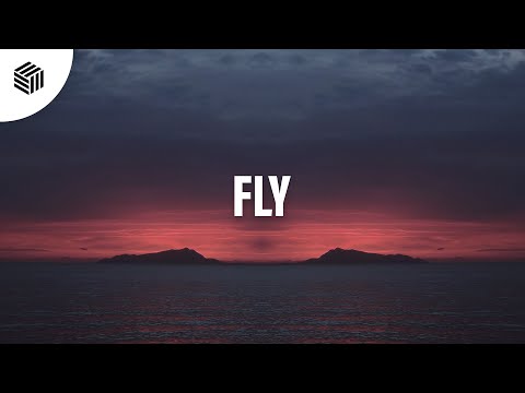 CLYROX - Fly