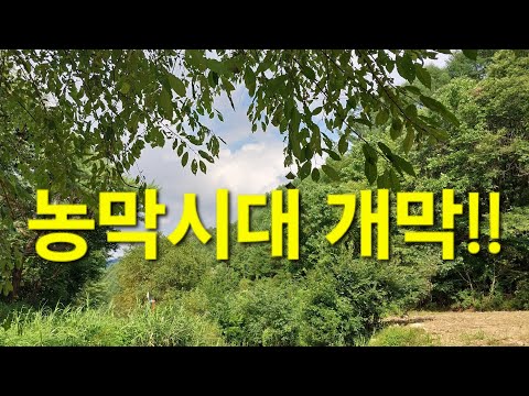 자연으로 촌으로가자! 농막 힐링 농막 규제 완화 데크 처마 주차장 농사용취침 허용. 계곡 땅100평과 농막 4,000만원대 촌스런방송