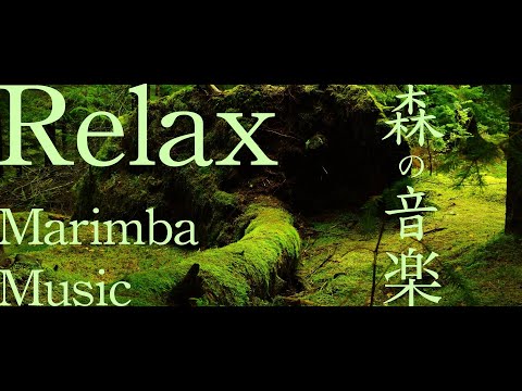 【作業用BGM 】MarimbaMusic | もののけの世界の作業用BGM | 木琴の音色で癒され超集中