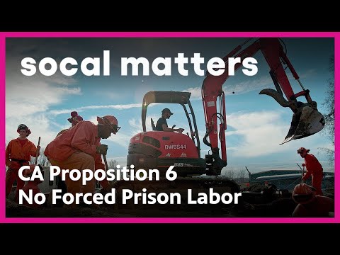 California Proposition 6: Banning Mandatory Prison Labor | SoCal Matters | PBS SoCal