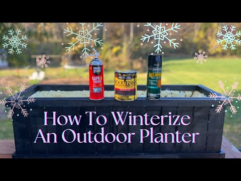 How To Winterize An Outdoor Planter & Solving A HUGE Dilemma!!!