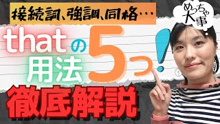 【英文法 覚え方】thatの用法は5つ！見分け方と使い方を徹底解説