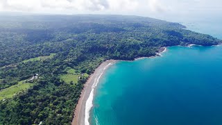 Costa Rica hidden ecotourism gem: Tapirs, Pumas, Macaws and many more @ Rincon de San Josecito