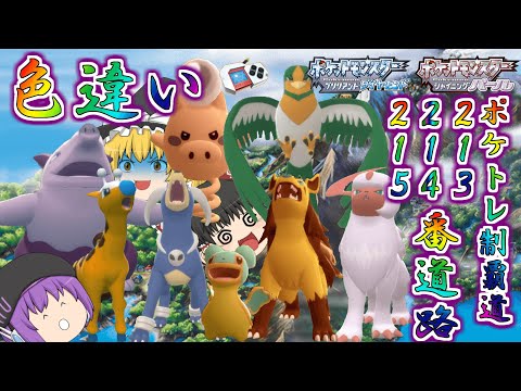 【ポケモンBDSP】色々大量発生したから色違い欲しい…じゃあついでに213・214・215番道路の色違いポケトレで全部ゲットしちゃお♡【ゆっくり実況】