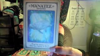 Virgo General Reading -