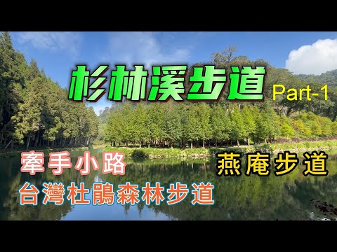 慢活杉林溪步道 Part-1- 台灣杜鵑森林步道 - 燕庵步道 - 牽手小路