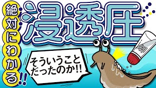 絶対にわかる浸透圧　～目に見えない不思議な力～