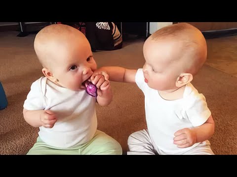 Funny Baby Videos - Try Not To Laugh Twin Babies Videos Compilation | BABY BROS