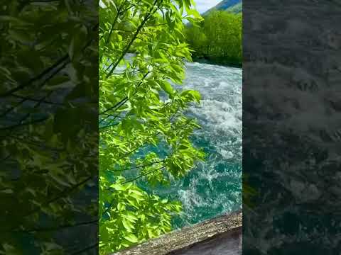 Listen to the mountain river | NatureQuest #mountainriver #mountainvibes #nature