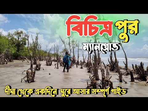 Bichitrapur Mangrove/ Bichitrapur/ বিচিত্রপুর ম্যানগ্রোভ ভ্রমণ