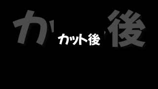 トリミングで変わるロングコートチワワ#shorts