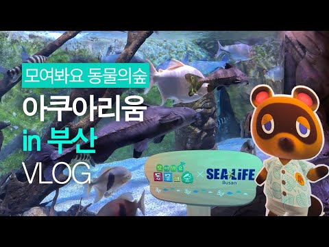 '동물의숲 아쿠아리움' 이번에는 부산에서!  (모동숲 아쿠아리움 VLOG)