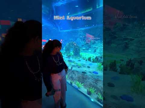 #aquarium #miniaquarium #olddohaport #citygallery#doha #qatar #youtubeshorts #ytshorts