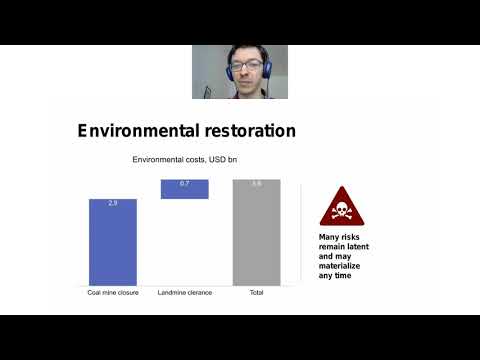 Online panel discussion: Economic Challenges and Costs of Reintegrating the Donbas Region in Ukraine