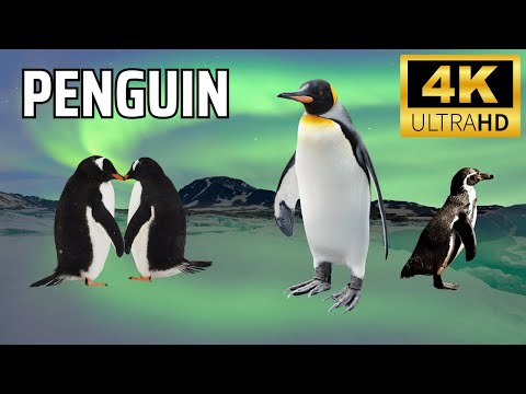 Penguins Like Never Before: Amazing Facts, Survival Secrets, and Their Icy World!