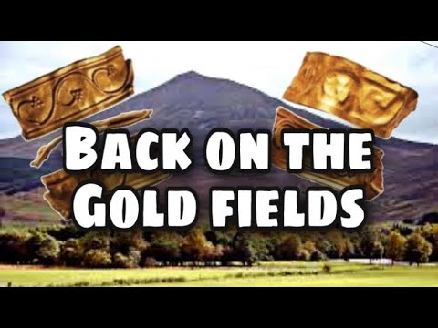 BACK ON THE GOLD FIELDS Metal Detecting UK