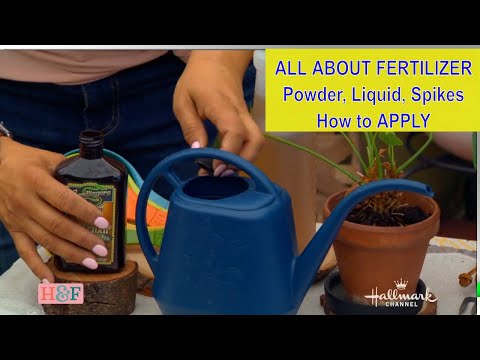 All About PLANT FERTILIZER Food 🍀 Indoor/Outdoor Plants🍀 How Apply Powder, Liquid & Spike Fertilizer