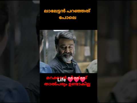 മറക്കാൻ പറ്റാത്ത ഓർമ്മകൾ . #shortsfeed #shortsviral #shorts #shortsvideo