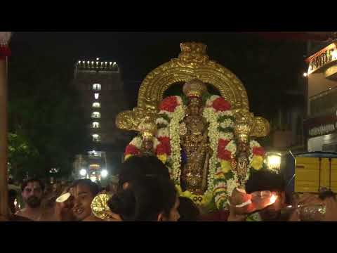 Kanchi Varadarajan-Navarathri Uthsavam Day 1-காஞ்சி வரதராஜன் நவராத்ரி உத்ஸவம் முதல் நாள்_1h 17m (4K)