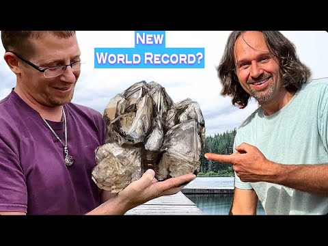 Is This The Largest Herkimer Diamond Ever Found?