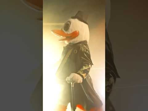 The Oregon Duck's Greatest Mascot live performance #greatest mascot #oregonfootball